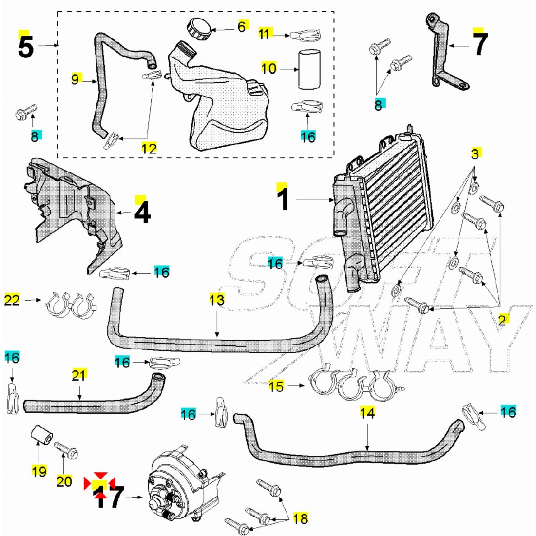 kit-pompa-acqua-peugeot-jet-force-e-ludix-777258-1.jpg